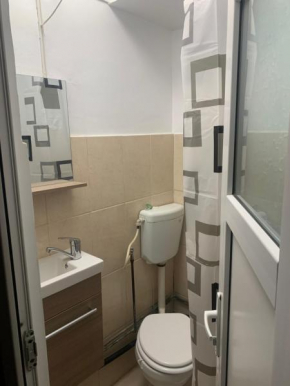 417 Garsoniera Iasi